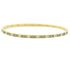 Signature Single Slide Bangle - FREIDA ROTHMAN